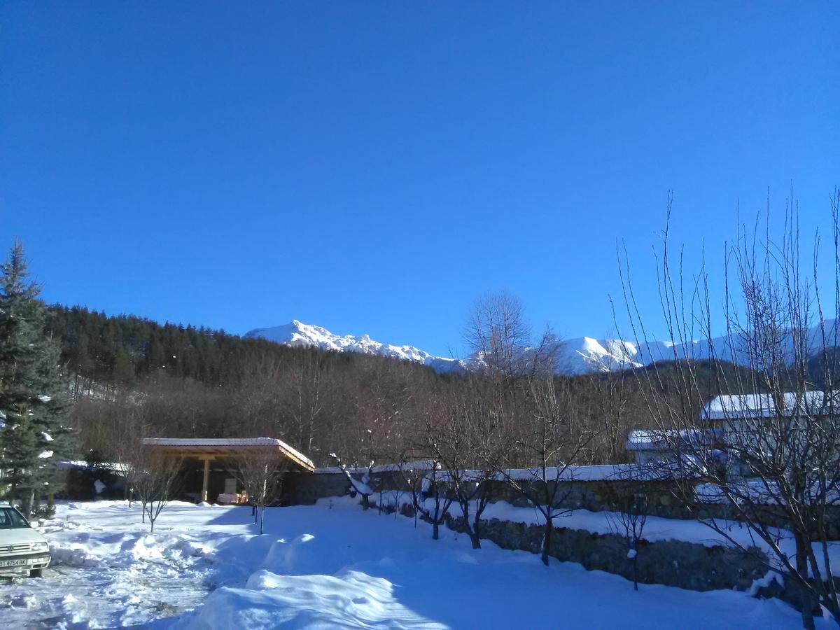 Villa Lilia 아프릴치 외부 사진